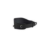 Wing Harness